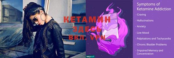 сатива Волоколамск