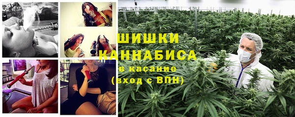 стафф Володарск