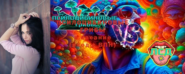 стафф Володарск