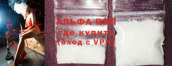 стафф Володарск