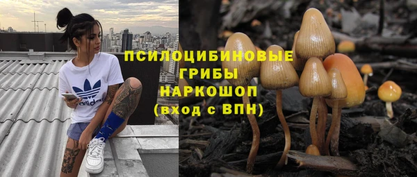 стафф Володарск