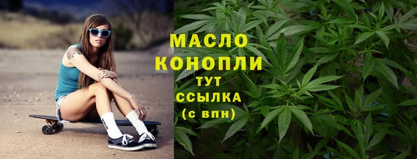 сатива Волоколамск