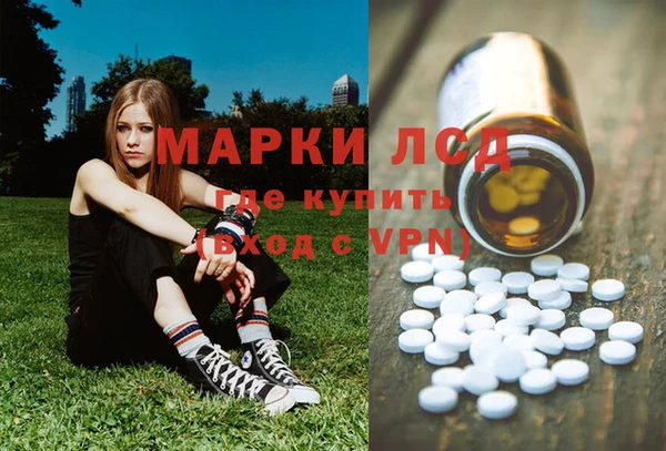 стафф Володарск