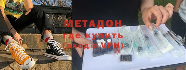 сатива Волоколамск