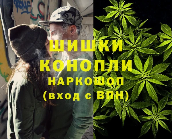 сатива Волоколамск