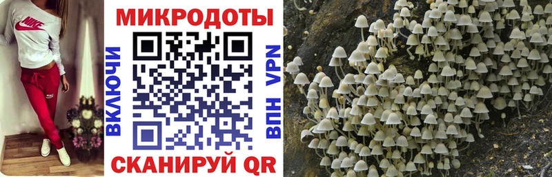 Псилоцибиновые грибы прущие грибы  Купить  Карасук 
